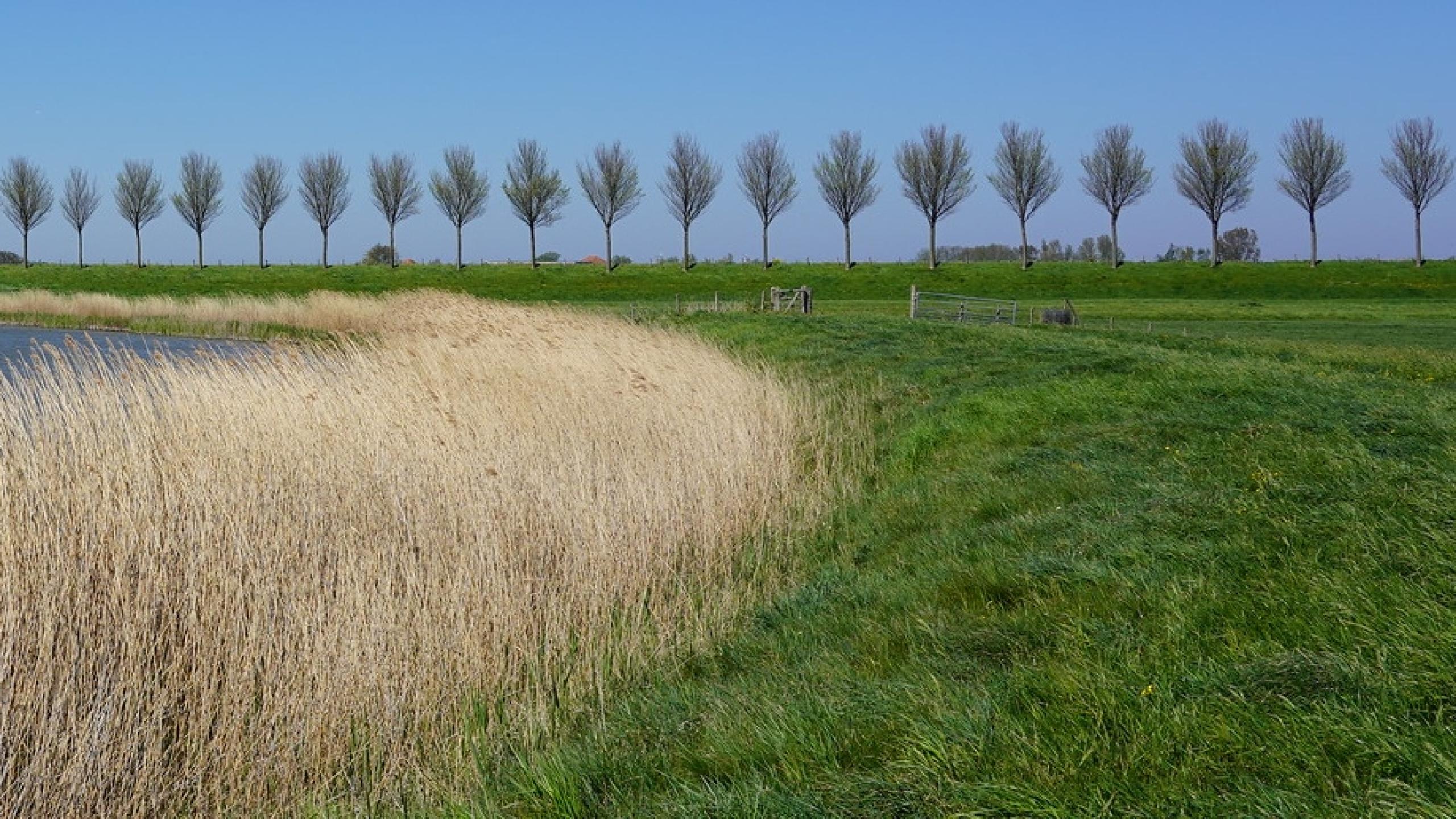 Afbeelding Bodembeheer
