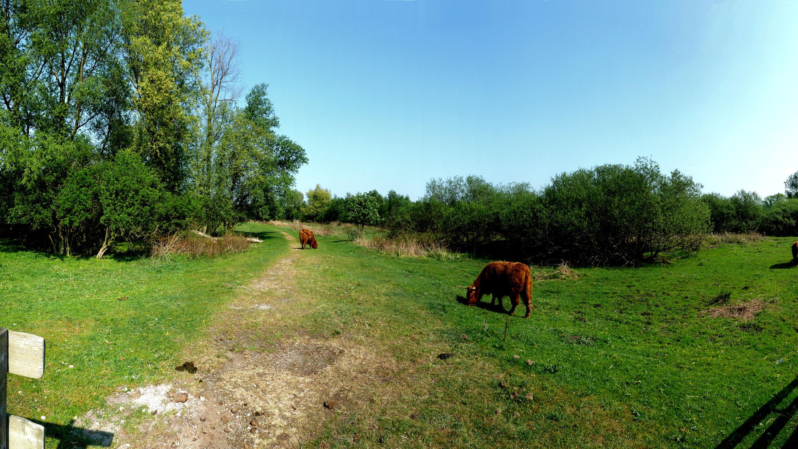 Afbeelding Twiske
