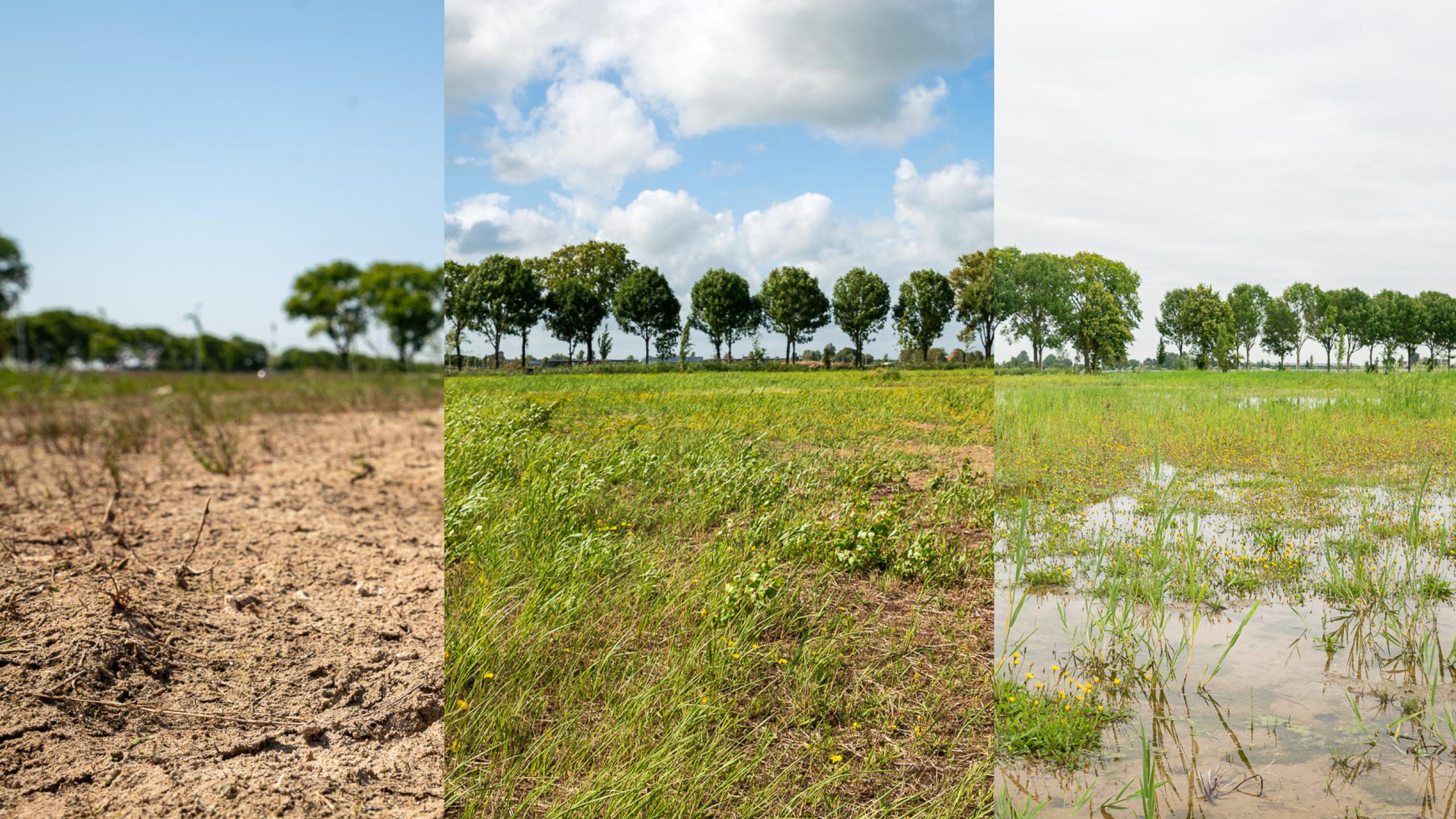 Klimaat